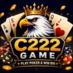C222 Game