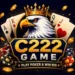 C222 Game